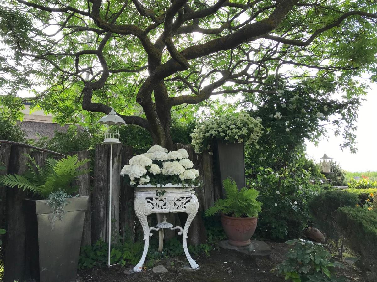 Viktoria House Villa Balatonszarszo Bagian luar foto
