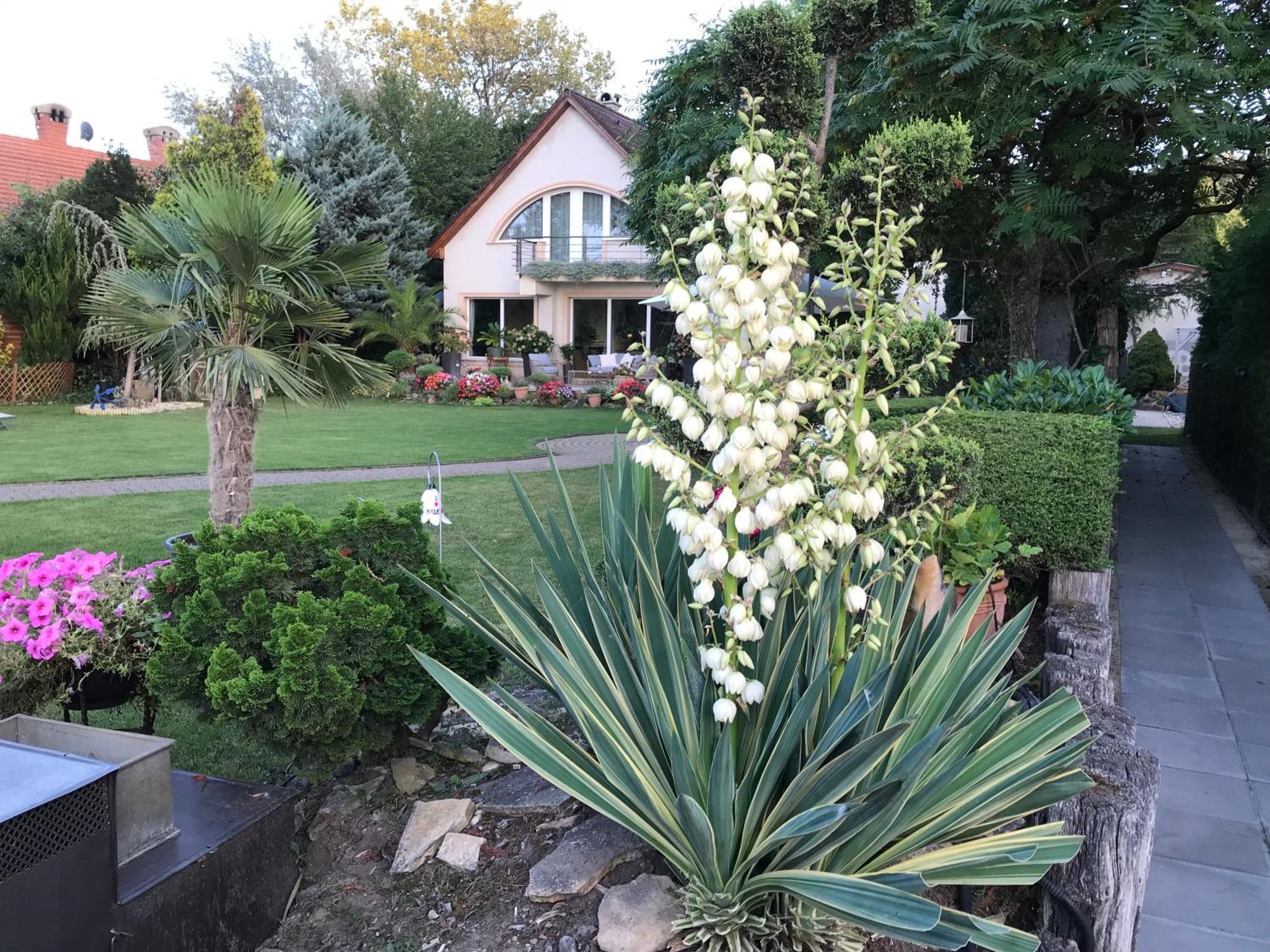 Viktoria House Villa Balatonszarszo Bagian luar foto